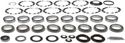Picture of Spicer Axle Differential Bearing and Seal Kit - 504031-1