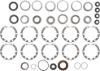 Picture of Spicer Axle Differential Bearing and Seal Kit - 504118-2