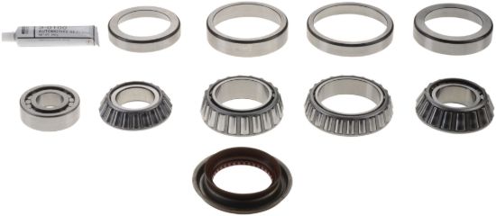 Picture of Spicer Axle Differential Bearing and Seal Kit - 504119-1