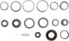 Picture of Spicer Axle Differential Bearing and Seal Kit - 504128