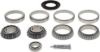 Picture of Spicer Axle Differential Bearing and Seal Kit - 504131