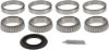 Picture of Spicer Axle Differential Bearing and Seal Kit - 504132