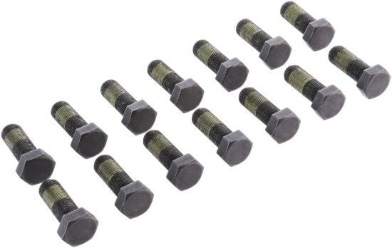 Picture of Spicer Differential Ring Gear Bolt - 504370