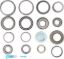 Picture of Spicer Differential Carrier Bearing - 504381