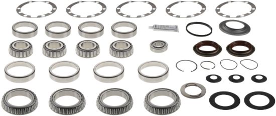 Picture of Spicer Axle Differential Bearing and Seal Kit - 510399-1