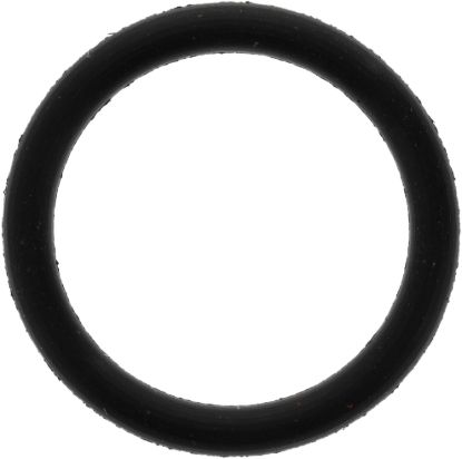 Picture of Spicer Differential Housing O-Ring - 620980