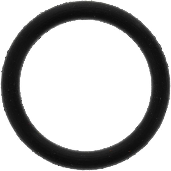 Picture of Spicer Differential Housing O-Ring - 620980