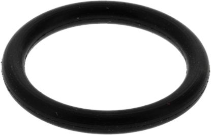 Picture of Spicer Differential Housing O-Ring - 620980