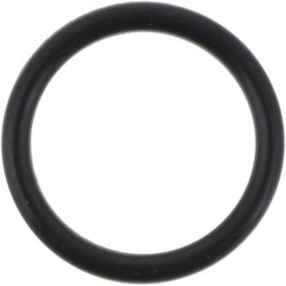 Picture of Spicer Multi-Purpose O-Ring - 673269