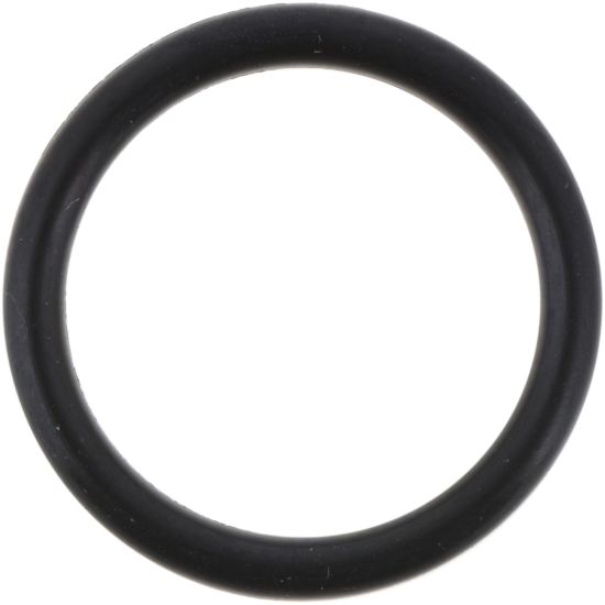 Picture of Spicer Multi-Purpose O-Ring - 673269
