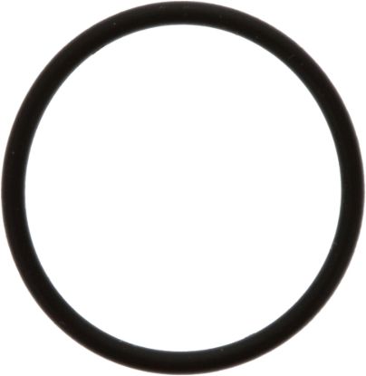 Picture of Spicer Multi-Purpose O-Ring - 673723