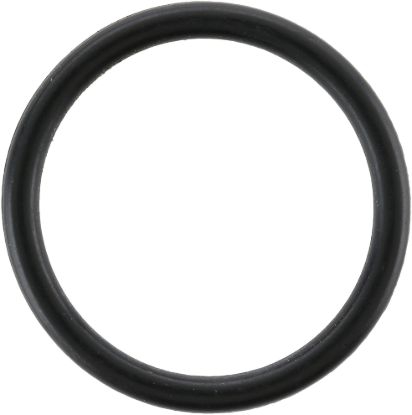 Picture of Spicer Multi-Purpose O-Ring - 673725