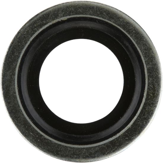 Picture of Spicer Axle Nut Washer - 673996