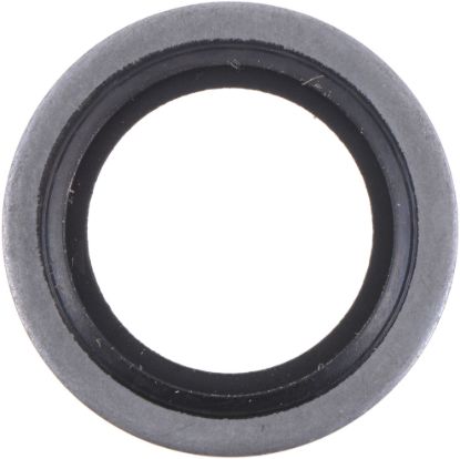 Picture of Spicer Axle Nut Washer - 673999
