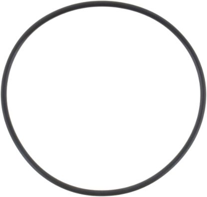 Picture of Spicer Differential Cover O-Ring - 68036474AA