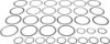 Picture of Spicer Differential Carrier Shim Kit - 701008X