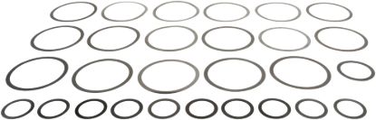 Picture of Spicer Differential Carrier Shim Kit - 701012-1X