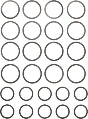 Picture of Spicer Differential Carrier Shim Kit - 703031