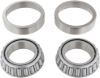 Picture of Spicer Differential Bearing Set - 706016X