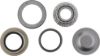 Picture of Spicer Steering King Pin Bearing - 706395X