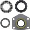 Picture of Spicer Drive Axle Shaft Bearing Kit - 706500X