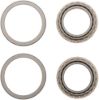 Picture of Spicer Differential Bearing Set - 706988X