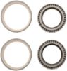 Picture of Spicer Differential Bearing Set - 706988X