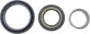 Picture of Spicer Axle Spindle Bearing - 708084