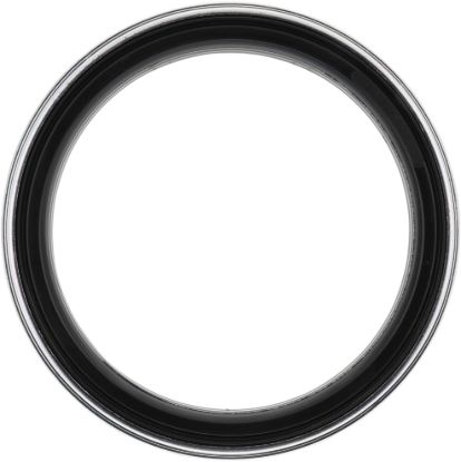 Picture of Spicer Wheel Seal - 856
