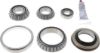 Picture of Spicer Select Axle Differential Bearing and Seal Kit - 35-224