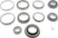Picture of Spicer Select Axle Differential Bearing and Seal Kit - 35-4390