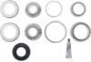 Picture of Spicer Select Axle Differential Bearing and Seal Kit - 45-650R