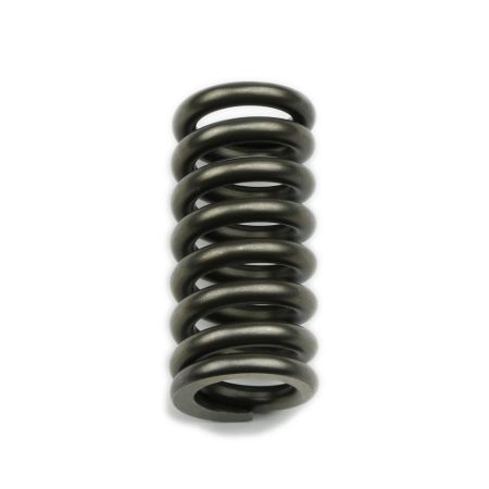 Picture for category Automatic Transmission Springs