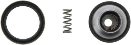 Picture for category Double Cardan CV Ball Seat Repair Kit