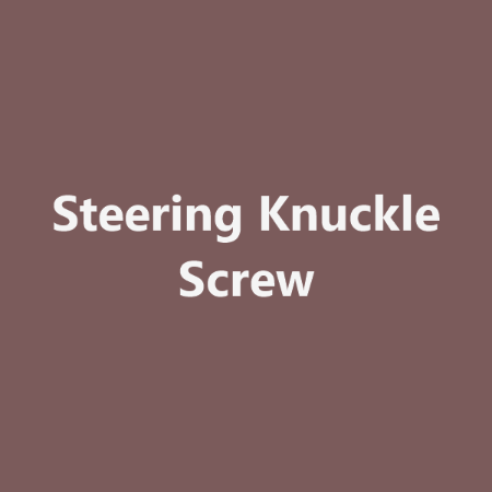 Picture for category Steering Knuckle Screw