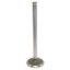 CROWN AUTO EXH VALVE STD - 33003860