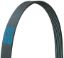DAYCO FAN BELT - 5060865
