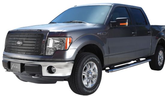 FIA BUG SCREEN FORD F150 24 - GS90243