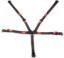 Harness 5pt L&L P/U 2in Black