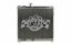 Radiator 04-15 Nissan & Infiniti Truck / SUV