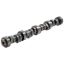 GM LS Hyd Roller Cam .585/.585