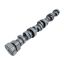 GM LS Hyd Roller Cam .553/.553 224/230 @ .050