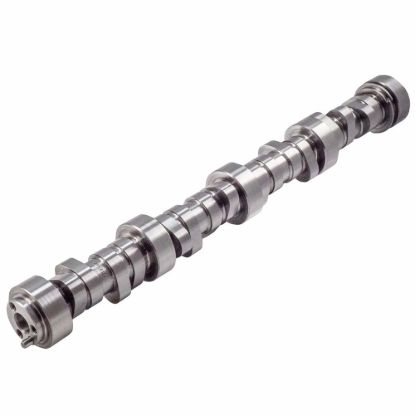 GM LS Hyd Roller Cam .604/.604 218/224 @ .050