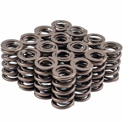 Valve Spring Set 1.364 Dia. Dual Spring