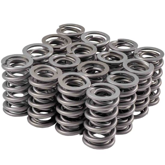 Valve Spring Set GM LS 1.304 Dual