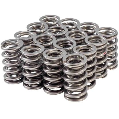 1.305 Valve Spring Set Dual  LS .660 Lift