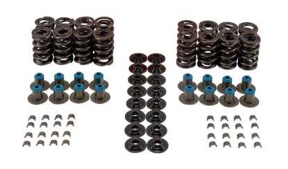 Valve Spring Kit GM LS