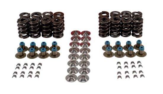Valve Spring Kit GM LS W/Ti Retainers