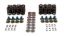Valve Spring Kit GM LS W/Ti Retainers