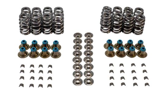 Valve Spring Kit GM LS w/Ti Retainers